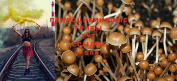 мяу мяу мука Алексин