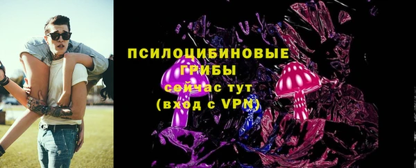 МДПВ Алексеевка