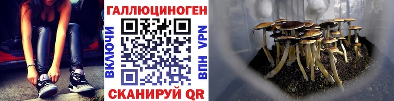 Галлюциногенные грибы мухоморы  Лесосибирск 